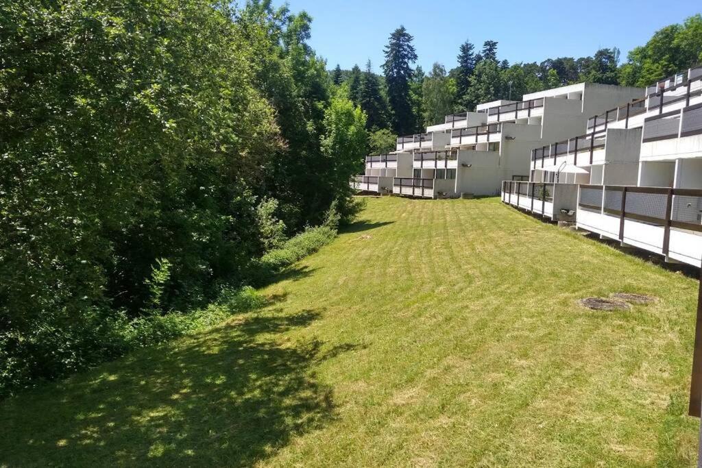 Studio Au Coeur Des Volcans D Auvergne - Murol Eksteriør bilde