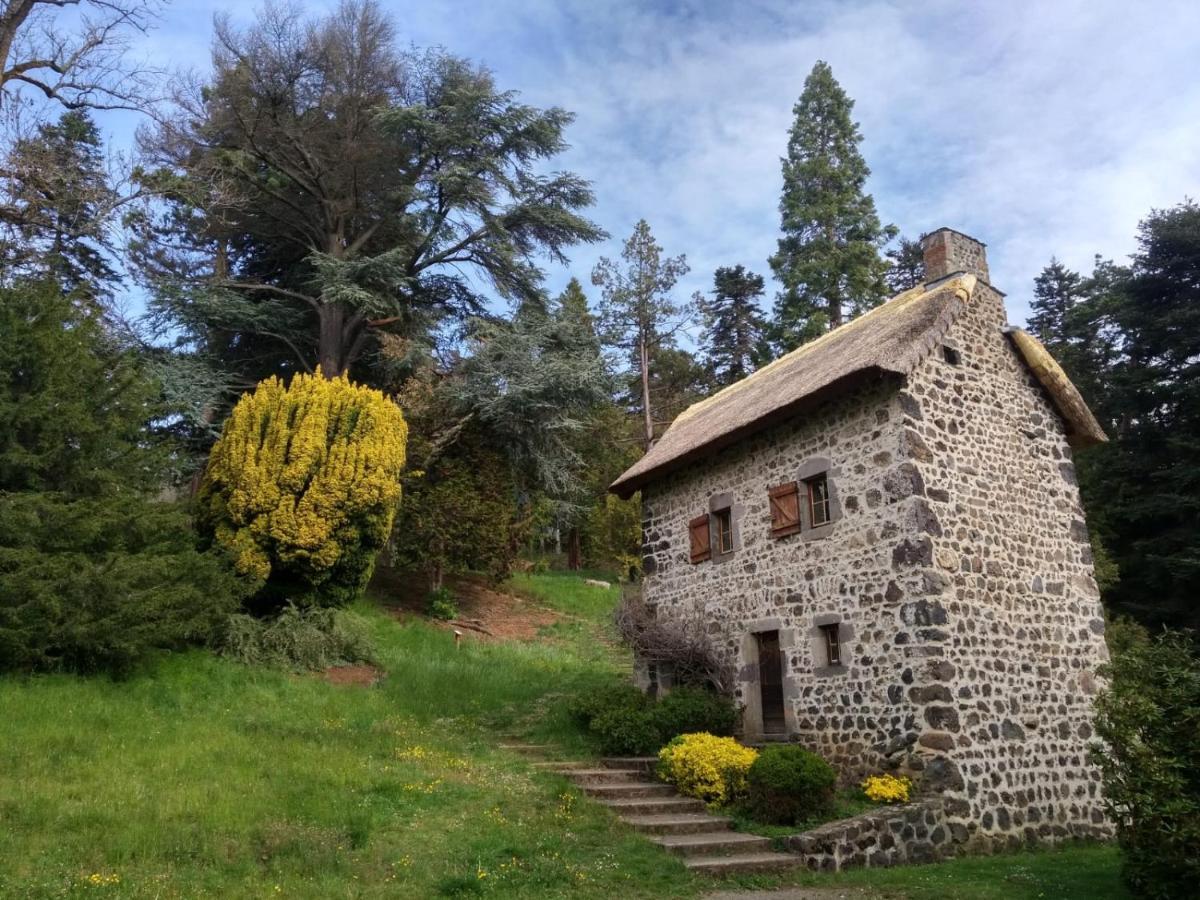 Studio Au Coeur Des Volcans D Auvergne - Murol Eksteriør bilde